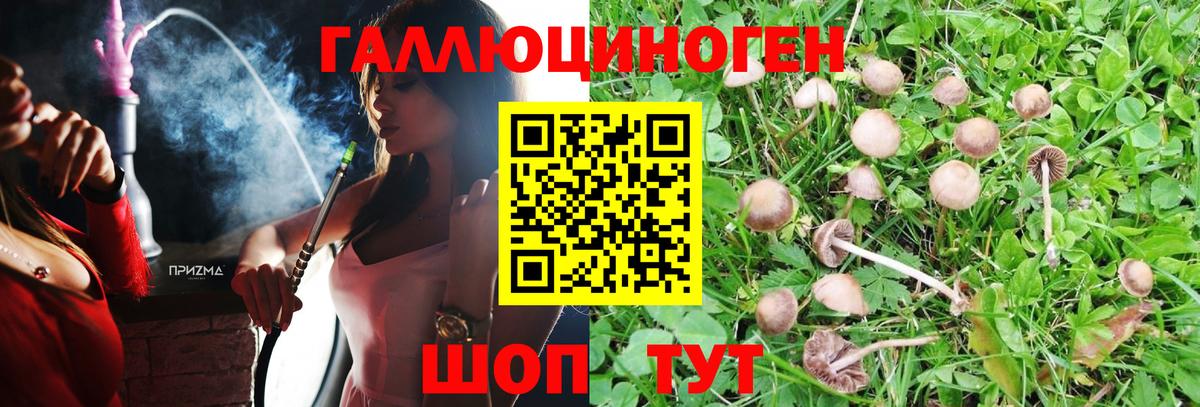 Галлюциногенные грибы мухоморы Дятьково