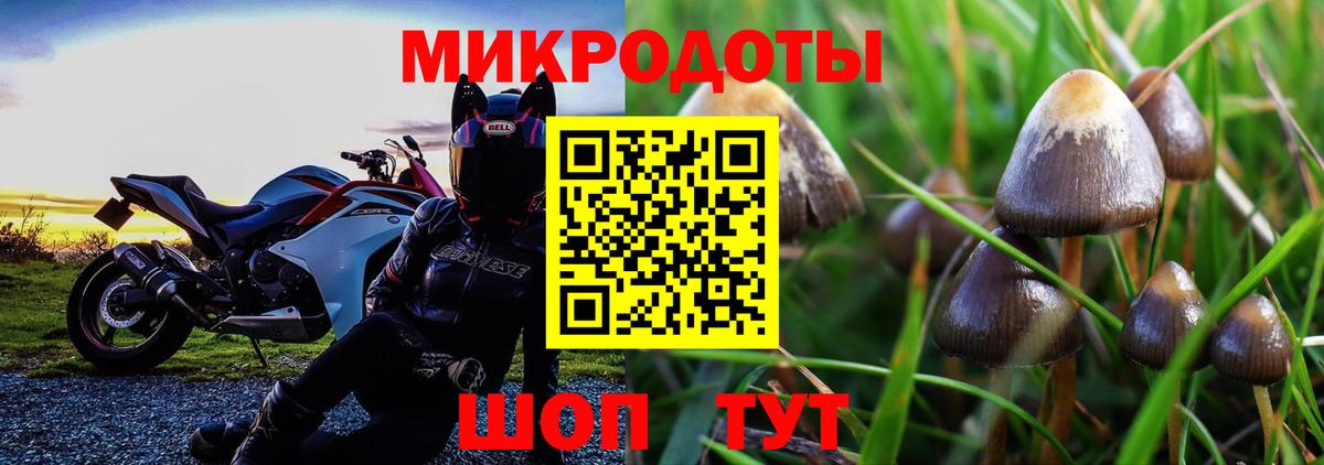Псилоцибиновые грибы Psilocybine cubensis  Галлюциногенные грибы мухоморы  Вход с VPN  Дятьково 
