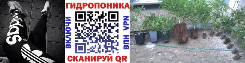 Конопля конопля  Дятьково 